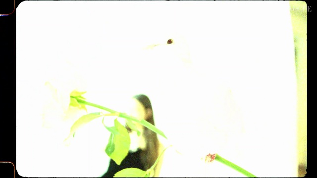 Video Reference: Green, Petal, Rectangle, Terrestrial plant, Twig, Font, Art, Plant, Pedicel, Pest