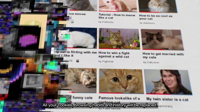 Video Reference: Cat, Photograph, Vertebrate, Organ, Felidae, Organism, Carnivore, Mammal, Small to medium-sized cats, Screenshot