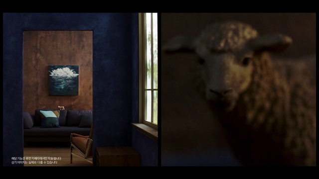 Video Reference: Window, Building, Art, Tints and shades, Terrestrial animal, Livestock, Sheep, Snout, Sheep, Darkness