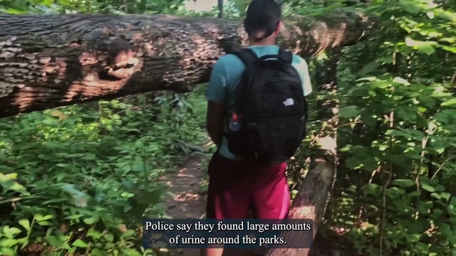 Video Reference: Plant, Trousers, Plant community, Organism, Outdoor recreation, Natural landscape, Terrestrial plant, Tree, People in nature, Luggage and bags