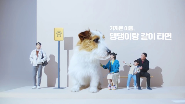 Video Reference: Dog breed, Carnivore, Companion dog, Event, Fun, Fur, Sporting Group, Street fashion, Canidae, Travel