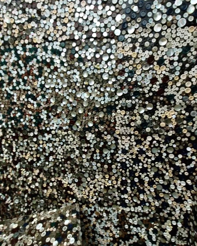 Video Reference: Flower, Plant, Groundcover, Soil, Pattern, Mixture, Flowering plant, Gravel