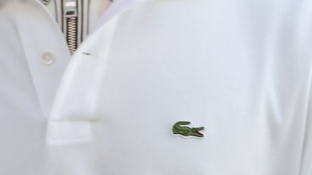 Video Reference: Sleeve, Automotive design, Hood, Plant, Wood, Twig, Ceiling, Macro photography, Linens, Plant stem