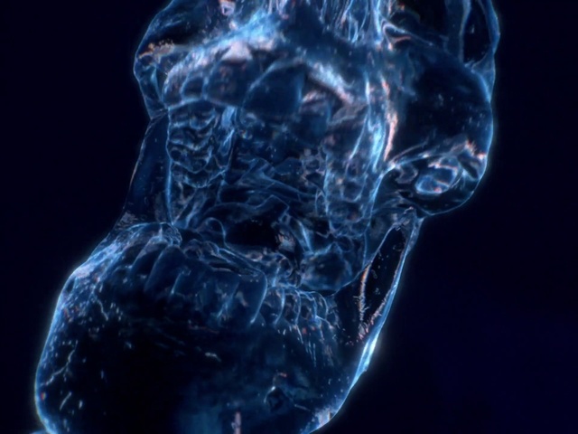 Video Reference: Organism, Marine invertebrates, Gas, Liquid, Electric blue, Science, Transparent material, Darkness, Bioluminescence, Water