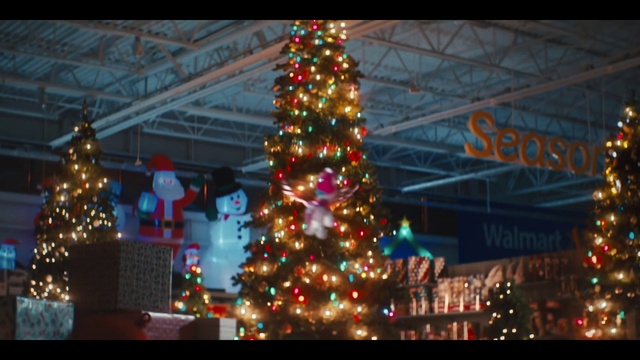 Video Reference: Christmas tree, Plant, Christmas ornament, World, Decoration, Electricity, Christmas decoration, Evergreen, Ornament, Tree