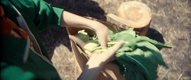 Video Reference: Gesture, Leaf vegetable, Cuisine, Dish, T-shirt, Comfort food, Soil, Wrist, Human leg, Reptile