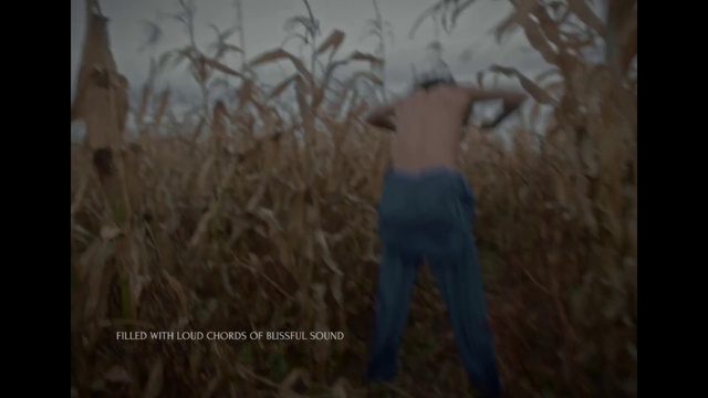 Video Reference: Plant, People in nature, Wood, Gesture, Twig, Grass, Art, Grassland, Font, Event