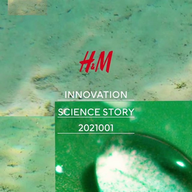 Video Reference: Green, Organism, Font, Aqua, Logo, Grass, Rectangle, Circle, Graphics, Fin