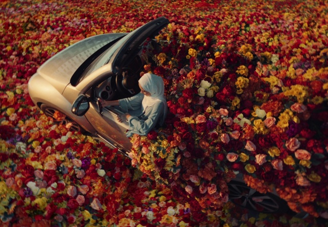 Video Reference: Flower, Plant, Leaf, Motor vehicle, Toy, Automotive design, People in nature, Petal, Landscape, Grass