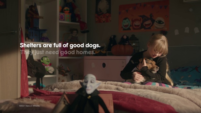 Video Reference: Comfort, Toy, Fun, Leisure, Event, Room, Flooring, Child, Sitting, Toddler