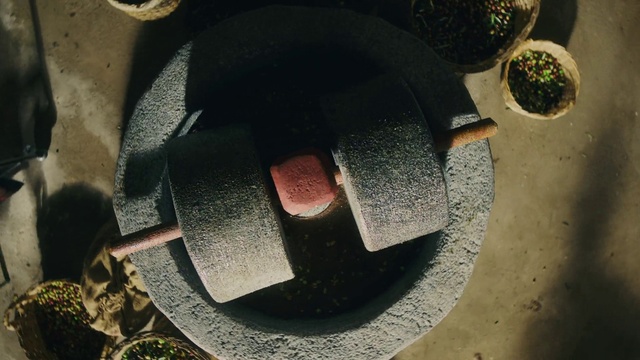 Video Reference: Automotive tire, Plant, Gas, Tints and shades, Circle, Font, Houseplant, Metal, Automotive wheel system, Soil