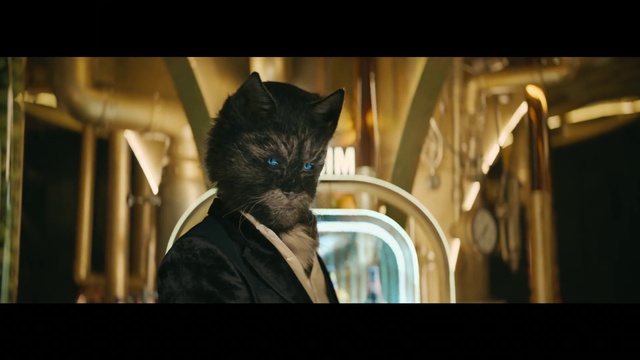 Video Reference: Flash photography, Carnivore, Felidae, Movie, Whiskers, Electric blue, Small to medium-sized cats, Darkness, Fictional character, Formal wear