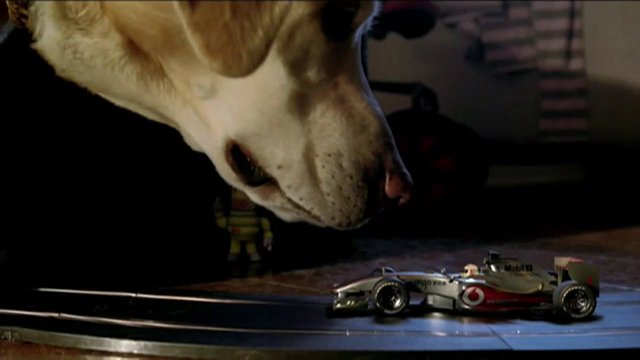 Video Reference: dog, toy car, race car, track, close-up, indoor, pet, animal, low light, miniature, model car, side view, play