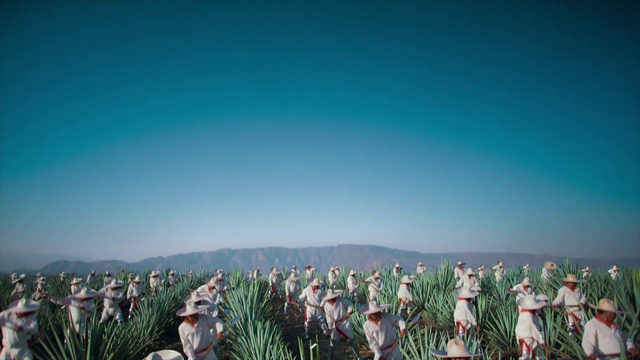 Video Reference: Plant, Sky, People in nature, Gesture, Vegetation, Body of water, Terrestrial plant, Grass, Landscape, Natural landscape