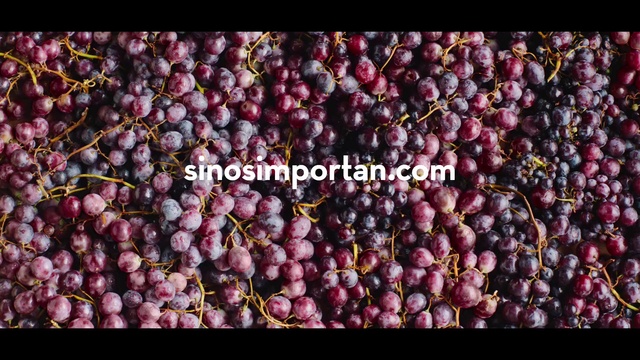 Video Reference: Food, Natural foods, Ingredient, Purple, Berry, Whole food, Produce, Flowering plant, Vegetable, Magenta