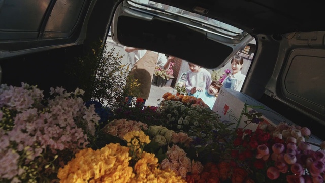 Video Reference: Plant, Flower, Motor vehicle, Vehicle, Automotive lighting, Car, Window, Automotive design, Automotive exterior, Vehicle door