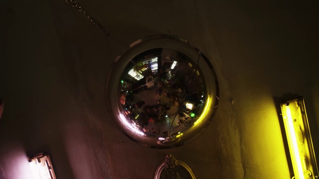 Video Reference: Plant, Fixture, Automotive lighting, Ornament, Window, Tints and shades, Christmas decoration, Electricity, Ceiling, Circle