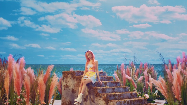 Video Reference: Cloud, Sky, Plant, Water, People in nature, Wood, Flower, Grass, Leisure, Happy