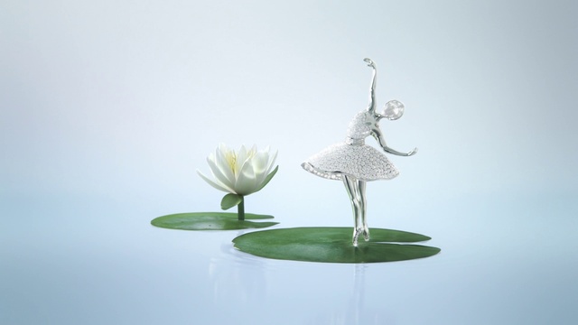 Video Reference: Flower, Plant, Lotus, Water, Sacred lotus, Petal, Art, Aquatic plant, Lotus family, Flowering plant