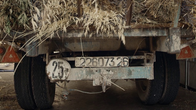 Video Reference: Tire, Wheel, Automotive tire, Motor vehicle, Vehicle, Plant, Truck, Tread, Wood, Automotive design