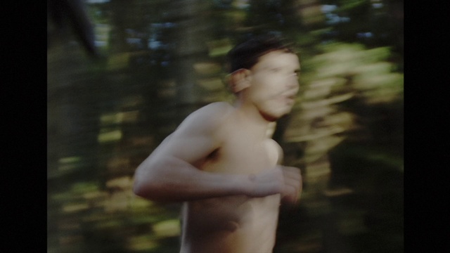 Video Reference: Gesture, Flash photography, People in nature, Chest, Trunk, Tints and shades, Barechested, Tree, Happy, Plant