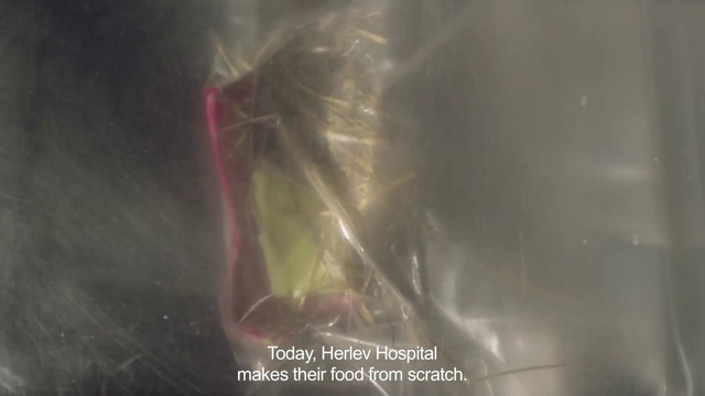 Video Reference: Terrestrial plant, Tints and shades, Smoke, Event, Darkness, Twig, Macro photography, Room, Font, Visual arts