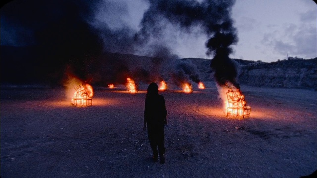 Video Reference: Sky, Fire, Tree, Heat, Flame, Pollution, Landscape, Gas, Event, Smoke