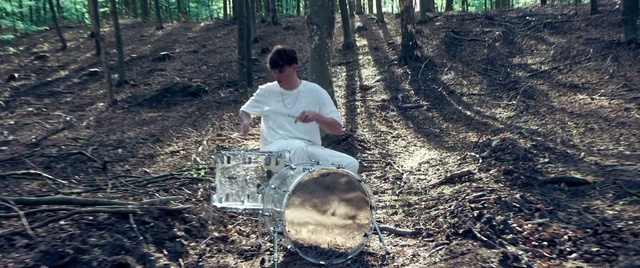 Video Reference: Plant, Natural environment, Tree, People in nature, Wood, Automotive tire, Trunk, Woody plant, Grass, Forest