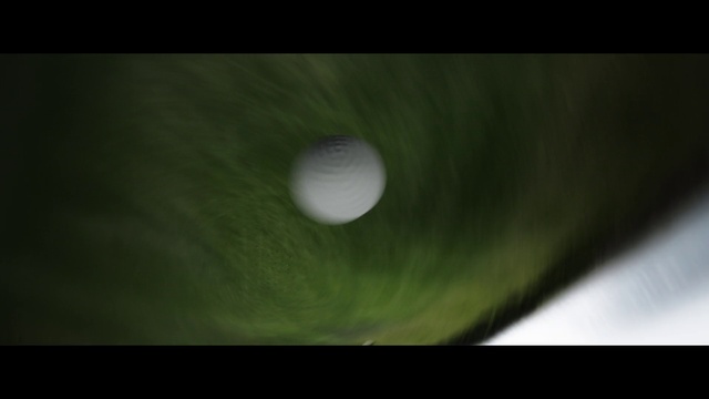 Video Reference: Plant, Astronomical object, Automotive lighting, Water, Tints and shades, Grass, Circle, Full moon, Celestial event, Event