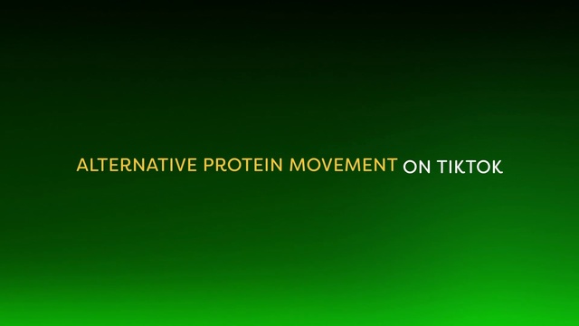 Video Reference: Rectangle, Font, Electric blue, Terrestrial plant, Brand