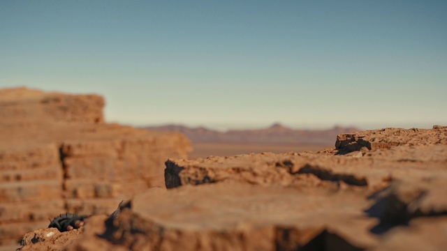 Video Reference: Sky, Ecoregion, Vertebrate, Cloud, Mammal, Sunlight, Wood, Bedrock, Terrain, Landscape