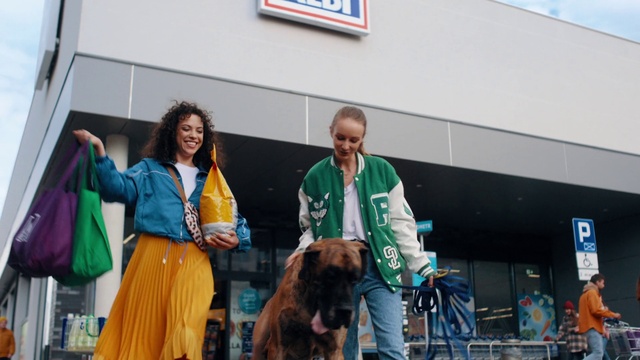 Video Reference: Dog, Carnivore, Dog breed, Companion dog, Event, Hat, Leisure, Fun, Recreation, Sporting Group