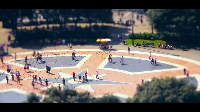 Video Reference: park, plaza, star pattern, pigeons, people, benches, outdoor, urban, sunny, high angle, tourist area, walkway, greenery, public space