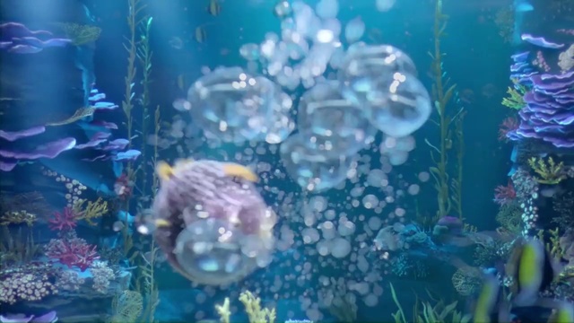 Video Reference: Water, Marine invertebrates, Nature, Plant, Azure, Natural environment, Petal, Organism, Underwater, Sky