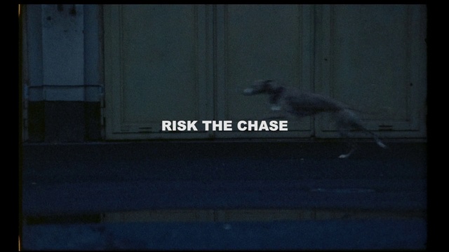 Video Reference: Dog, Carnivore, Rectangle, Font, Tints and shades, Darkness, Tail, Electric blue, Art, Brand