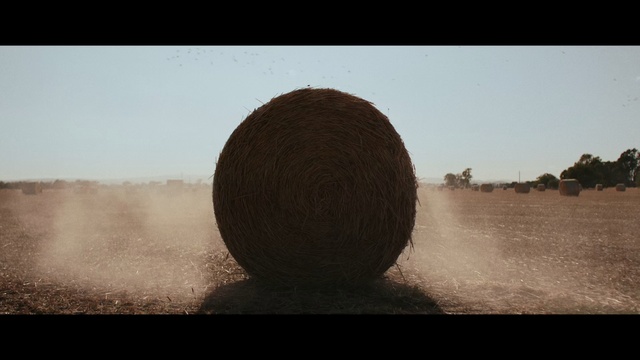Video Reference: Sky, Tree, Natural landscape, Landscape, Tints and shades, Art, Grass, Horizon, Circle, Plant