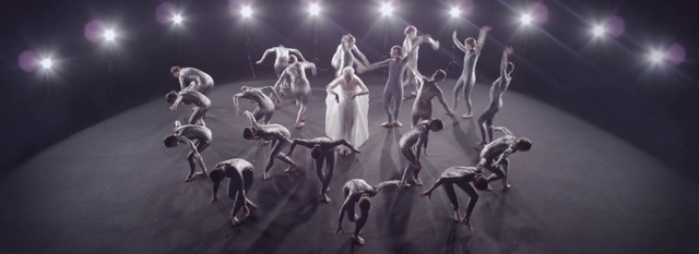 Video Reference: Vertebrate, Organism, Entertainment, Mammal, Art, Performing arts, Flash photography, Event, Painting, Darkness