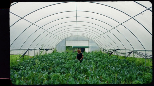 Video Reference: Plant, People in nature, Greenhouse, Shade, Grass, Terrestrial plant, Agriculture, Rural area, Outdoor structure, Net
