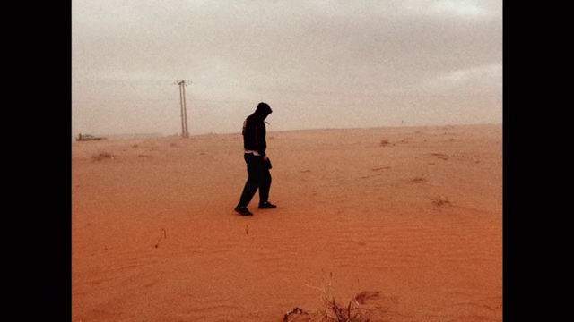 Video Reference: Sky, Ecoregion, People in nature, Cloud, Gesture, People on beach, Horizon, Landscape, Happy, Sand