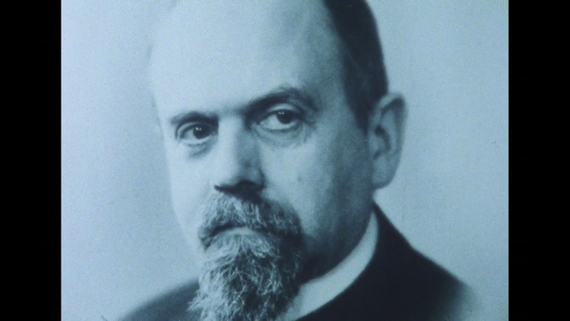 Video Reference: Forehead, Nose, Chin, Eyebrow, Beard, Mouth, Neck, Jaw, Flash photography, Facial hair