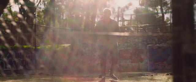 Video Reference: Plant, Wood, Sunlight, Grass, Atmospheric phenomenon, Tree, Tints and shades, Forest, Landscape, Lens flare