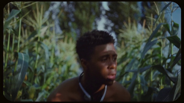 Video Reference: Flash photography, Jaw, People in nature, Happy, Terrestrial plant, Grass, Fun, Forest, Chest, Tree
