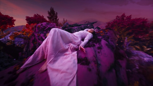 Video Reference: Plant, Sky, Purple, Tree, Flash photography, Violet, Petal, Grass, Landscape, Magenta