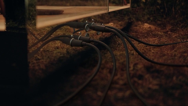 Video Reference: Wood, Electricity, Electrical wiring, Water, Cable, Gas, Twig, Tints and shades, Grass, Wire