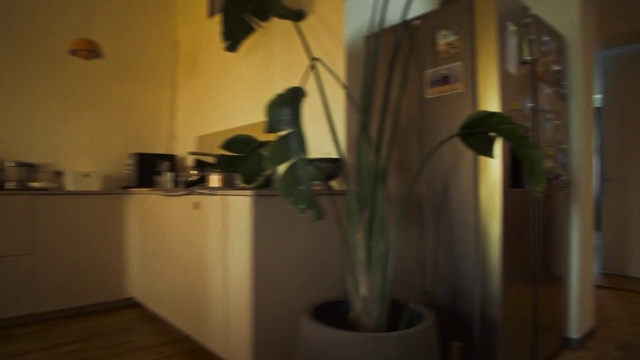 Video Reference: Plant, Flowerpot, Houseplant, Wood, Terrestrial plant, Vase, Hardwood, Art, Flooring, Room