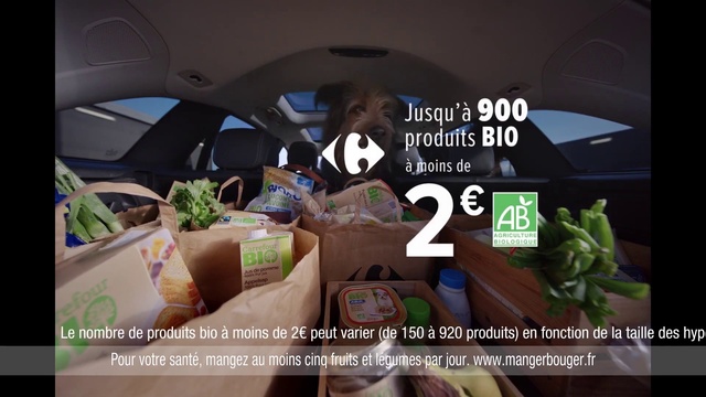 Video Reference: Vehicle, Motor vehicle, Car, Automotive design, Terrestrial plant, Vehicle door, Automotive exterior, Plant, Personal luxury car, Mid-size car