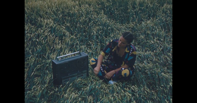 Video Reference: Plant, Ecoregion, Leaf, People in nature, Agriculture, Grass, Grassland, Landscape, Tints and shades, Grass family