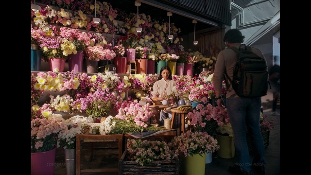 Video Reference: Flower, Plant, Flowerpot, Houseplant, Petal, Pink, Flower Arranging, Building, Artificial flower, City