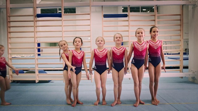 Video Reference: Leotard, Swimwear, Maillot, One-piece swimsuit, Thigh, Sportswear, Artistic gymnastics, Leisure, Competition event, Gymnastics