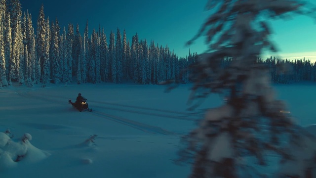 Video Reference: Sky, Plant, Blue, Tree, Snow, Natural landscape, Slope, Cloud, Atmospheric phenomenon, Freezing